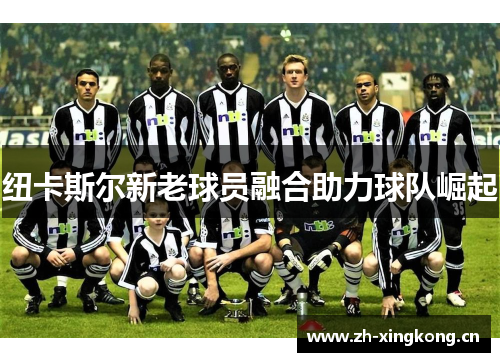 纽卡斯尔新老球员融合助力球队崛起
